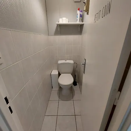 Apartment L'appart D'eugenie Societe Selogerametz Com Metz