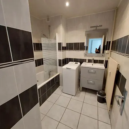 Apartment L'appart D'eugenie Societe Selogerametz Com Metz
