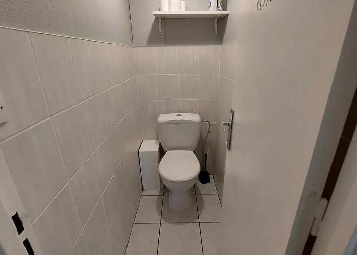 公寓 L'appart D'eugenie Societe Selogerametz Com 梅斯